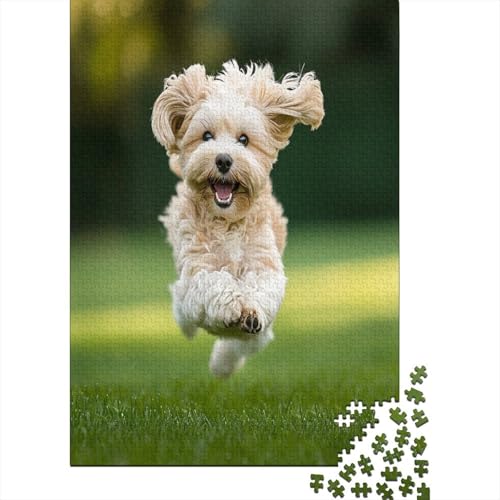 Shih Tzu. Puzzle 1000 Teile Erwachsene Puzzles Für Erwachsene Klassische Puzzles 1000 Teile Erwachsene Puzzlespiel Schwer Pädagogisches Spielzeug Erwachsene Kinder Puzzel 1000pcs (75x50cm) von DRESBNIOO