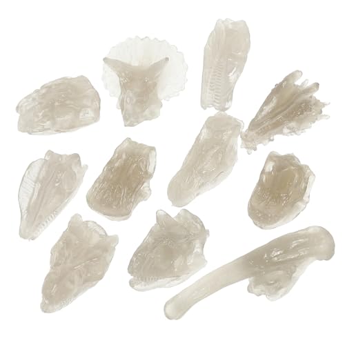 DRESSOOS 1 Set Dinosaurier Schädel Fossilien Kinderspielzeug Knochen B Dinosauriermodell Dinosaurier Knochen Dinosaurier Knochenformen Fossil Dinosaurier Schädel Dinosaurier Fossil PVC DRESSOOS 1 Set Dinosaurier Schädel Fossilien Kinderspielzeug Knochen B Dinosauriermodell Dinosaurier Knochen Dinosaurier Knochenformen Fossil Dinosaurier Schädel Dinosaurier Fossil PVC von DRESSOOS