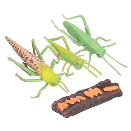 DRESSOOS 1 Set Heuschrecken Wachstumszyklus, Pädagogische Tierzyklus Figuren, Wissenschaftliche Pädagogische Requisiten, Tierzyklus Modell, Tier Lebenszyklus Modell, Kinder Lernspielzeug, von DRESSOOS