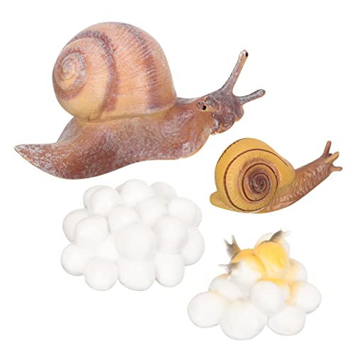 DRESSOOS 1 Set Tiermodell Spielzeug, Lebenszyklus Modell, Lebenszyklus Lernspielzeug Für Kinder, Lebenszyklus Spielzeug Für Kinder, Tierwachstumszyklus Figuren, Kleines Kinderspielzeug, DRESSOOS 1 Set Tiermodell Spielzeug, Lebenszyklus Modell, Lebenszyklus Lernspielzeug Für Kinder, Lebenszyklus Spielzeug Für Kinder, Tierwachstumszyklus Figuren, Kleines Kinderspielzeug, von DRESSOOS
