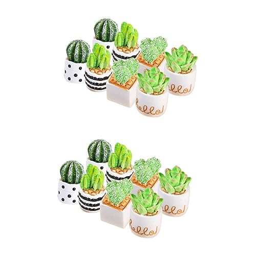 DRESSOOS 16 Stück Kaktus Mikrolandschaften, Mikrolandschafts Dekoration, Miniatur Zimmerpflanze, Puppenhaus Requisite, Miniatur Bonsai Modell, Mini Spielzeug Für Kinder, Winziges Bonsai von DRESSOOS