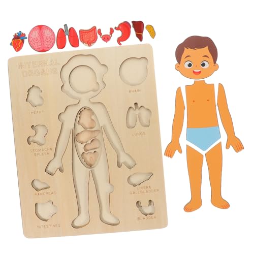 DRESSOOS 1Satz Holzpuzzle für Lernspielzeug zur Erkennung von Körperorganen Pädagogisches Puzzle für Vorschulkinder Geschenkidee für Jungen und Mädchen von DRESSOOS