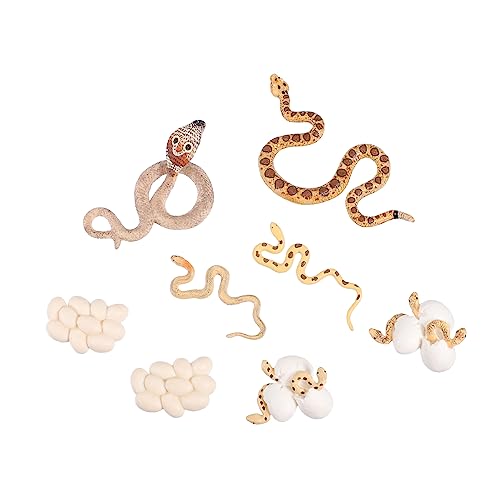 DRESSOOS 2 Sätze Reptil Figuren Wachstumszyklus Modelle Von Und Python Kids Spielzeug DRESSOOS 2 Sätze Reptil Figuren Wachstumszyklus Modelle Von Und Python Kids Spielzeug von DRESSOOS