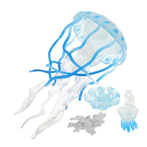 DRESSOOS 4 Stücke Quallen Simulation Wachstum Spielzeug Für Kinder Pädagogisches Aquarium Decor Realistische Aquarium Quallen Ornamente DRESSOOS 4 Stücke Quallen Simulation Wachstum Spielzeug Für Kinder Pädagogisches Aquarium Decor Realistische Aquarium Quallen Ornamente von DRESSOOS