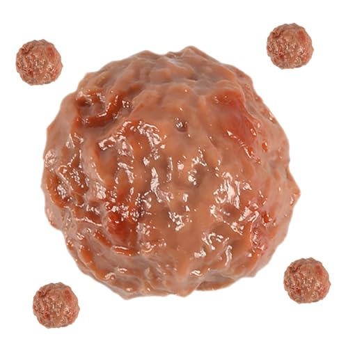 DRESSOOS 5 Stück Gefälschte Lebensmittel Rindfleisch Fleischbällchen Dekorative Gefälschte Rindfleisch Fleischbällchen Künstliche Rindfleischbällchen Rindfleisch Fleischbällchen Restaurant DRESSOOS 5 Stück Gefälschte Lebensmittel Rindfleisch Fleischbällchen Dekorative Gefälschte Rindfleisch Fleischbällchen Künstliche Rindfleischbällchen Rindfleisch Fleischbällchen Restaurant von DRESSOOS