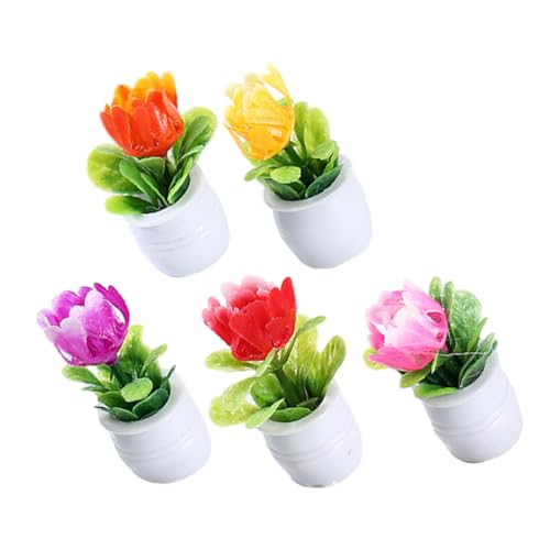 DRESSOOS 5 Stück Simulierte Topfpflanzen Bonsai Ornament Puppenhaus Künstliche Bonsai Puppenhaus Mini Schmuck Puppenhaus Bonsai Mini Fälschung Kleiner Bonsai von DRESSOOS