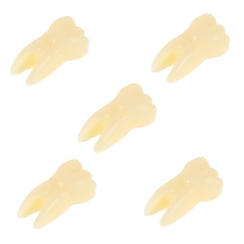 DRESSOOS 5stücke Teiliges Zahnmodell-Spielzeug Für Zahnmedizin Und Unterricht Realistische Nachbildung Vielseitig Einsetzbar Für Zahnärzte Und Lehrkräfte Dekorativ Und Lehrreich DRESSOOS 5stücke Teiliges Zahnmodell-Spielzeug Für Zahnmedizin Und Unterricht Realistische Nachbildung Vielseitig Einsetzbar Für Zahnärzte Und Lehrkräfte Dekorativ Und Lehrreich von DRESSOOS