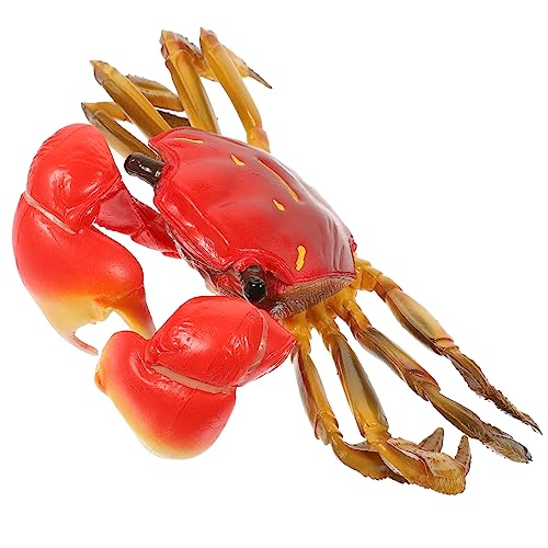 DRESSOOS Krabbenmodell Crab Toy crabtoy Pädagogisches für Pädagogisches Krabbenmodell entzückende haarige Krabbe pädagogisches Kinderspielzeug Plastik DRESSOOS Krabbenmodell Crab Toy crabtoy Pädagogisches für Pädagogisches Krabbenmodell entzückende haarige Krabbe pädagogisches Kinderspielzeug Plastik von DRESSOOS
