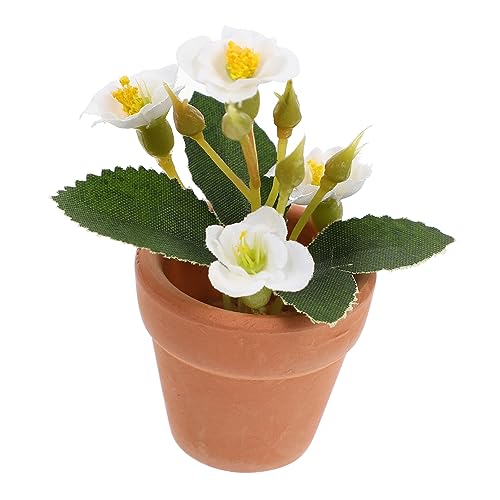 DRESSOOS Mini künstliche kunstpflanze kunstplflanze Garden Decoration Home Decor hausdeko Gartentöpfe kleine gefälschte Pflanze kleines Hauszubehör Puppenhaus-Bonsai-Ornament Ton Weiß von DRESSOOS