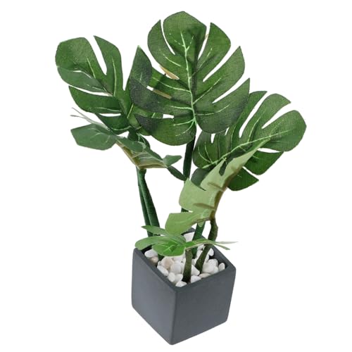 DRESSOOS Miniatur Blumentöpfe, Heim Desktop Ornamente, Miniatur Topfpflanzen, Kleine Hausdekoration, Künstliche Mini Pflanzen, Schmücken Mini, Miniatur, Mini DIY Bonsai Modell, Miniatur DRESSOOS Miniatur Blumentöpfe, Heim Desktop Ornamente, Miniatur Topfpflanzen, Kleine Hausdekoration, Künstliche Mini Pflanzen, Schmücken Mini, Miniatur, Mini DIY Bonsai Modell, Miniatur von DRESSOOS