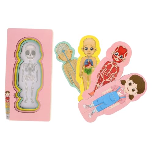 DRESSOOS Frühes Spielzeug Menschliches Puzzle Set Holzspielzeug Für Kinder Kleinkinder Montessori Spielzeug von DRESSOOS