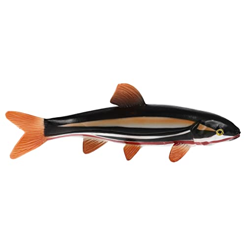DRESSOOS Schafgarbenfischspielzeug, Angelspielzeug, Statisches Fischspielzeug, Fischspielzeug Für Kinder, Actionfigur, Heimdekoration, Künstliches Meerestiermodell, Aquarium Display, von DRESSOOS