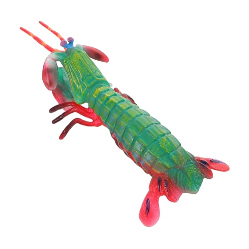 DRESSOOS Simulation Mantis Shrimp Realistisches Meeresbewohner Modell für Pädagogisches Kognitiven Entwicklung für Kleine DRESSOOS Simulation Mantis Shrimp Realistisches Meeresbewohner Modell für Pädagogisches Kognitiven Entwicklung für Kleine von DRESSOOS