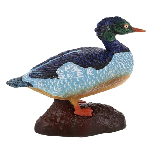 DRESSOOS Simulationsente: Stockenten-Tiermodell für die Wahrnehmung von Kindern – realistische Wildtierfigur aus Kunststoff – detailliertes Gänsesäger-Simulationsmodell DRESSOOS Simulationsente: Stockenten-Tiermodell für die Wahrnehmung von Kindern – realistische Wildtierfigur aus Kunststoff – detailliertes Gänsesäger-Simulationsmodell von DRESSOOS