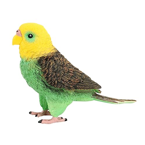 DRESSOOS Simulation Wellensittich Modell Papagei Spielzeug für Jungen und Mädchen und pädagogisches Vogel Figur Spielzeug von DRESSOOS