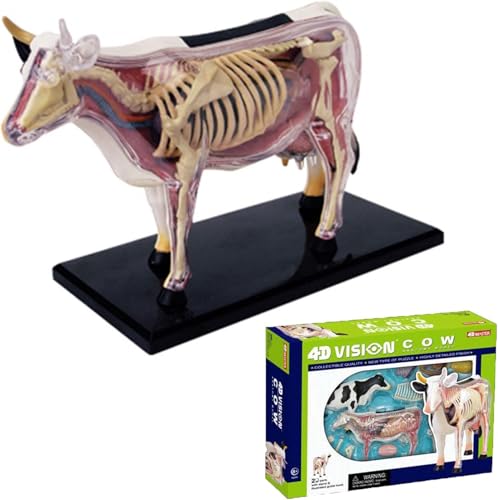 4D Cow Anatomy Model-Detachable Biology, 29 Parts Animal Skeleton Specimen for Pet Clinic Veterinary TrainingSchool Teaching Demonstration 4D Cow Anatomy Model-Detachable Biology, 29 Parts Animal Skeleton Specimen for Pet Clinic Veterinary TrainingSchool Teaching Demonstration von DRFGHK