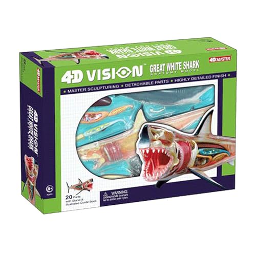 4D Great White Shark Anatomy Model,Detachable 20 Parts Shark Organ Anatomy Model,4D Vision Animal Anatomical Model,for Study Display Teaching Medical Model 4D Great White Shark Anatomy Model,Detachable 20 Parts Shark Organ Anatomy Model,4D Vision Animal Anatomical Model,for Study Display Teaching Medical Model von DRFGHK
