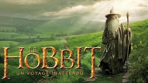 DTASSVEW 500/1000/1500 Puzzle - The Lord of The Rings Für Kinder Erwachsene Puzzle Educational Intellectual Decompressing Fun Family Game for Kinder Erwachsene Toy Filmplakat-s058 von DTASSVEW