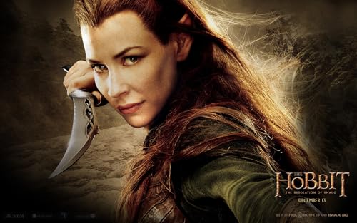 DTASSVEW Puzzle Erwachsene Holz Puzzle 500/1000/1500 Teile Freizeit- The Lord of The Rings Lernspielzeug, Kinder, Freunde Und Familie Filmplakat-s079 (DREI Größen) von DTASSVEW