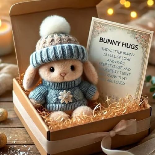 DTREELS Mini Bunny Hug Cute Birthday Gift A Little Bundle Love & Comfort New Mini Plush Positive Rabbit Animals Decor Inspirational DTREELS Mini Bunny Hug Cute Birthday Gift A Little Bundle Love & Comfort New Mini Plush Positive Rabbit Animals Decor Inspirational von DTREELS