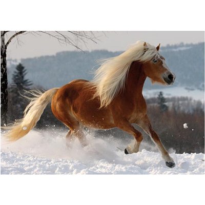 DToys Haflinger 2 / schwieriges Puzzle 239 Teile Puzzle DToys-70494 DToys Haflinger 2 / schwieriges Puzzle 239 Teile Puzzle DToys-70494 von DToys