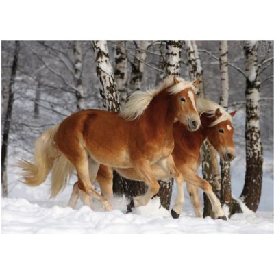 DToys Haflinger 3 / schwieriges Puzzle 239 Teile Puzzle Dtoys-70487 von DToys