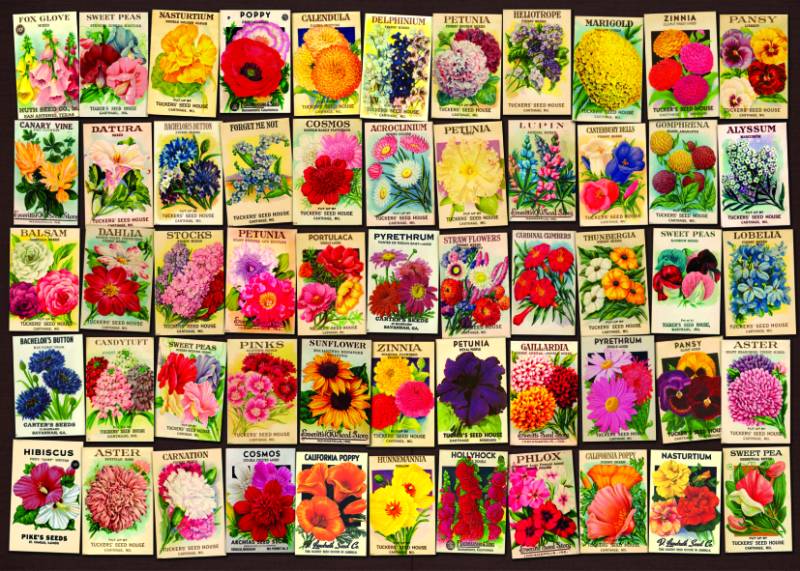 DToys Vintage Collage - Blumen 1000 Teile Puzzle Dtoys-74492 DToys Vintage Collage - Blumen 1000 Teile Puzzle Dtoys-74492 von DToys