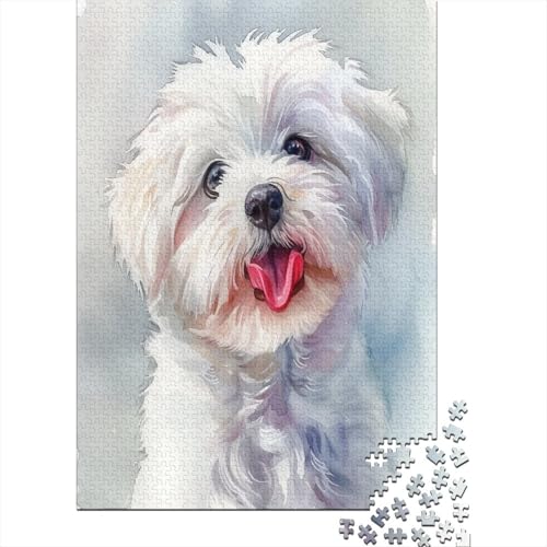 Shih Tzu. Puzzle 1000 Teile Erwachsene Puzzles Für Erwachsene Klassische Puzzles 1000 Teile Erwachsene Puzzlespiel Schwer Pädagogisches Spielzeug Erwachsene Kinder Puzzel 1000pcs (75x50cm) von DUABELPHF