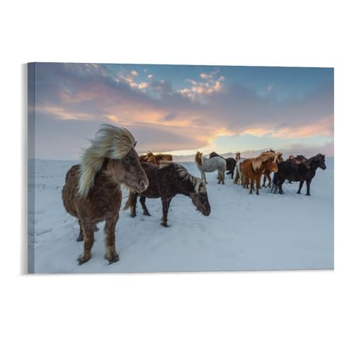 1000-teiliges Puzzle，Pferde Auf Island，1000-teiliges Puzzle für Erwachsene und Jugendliche（50x70cm）-18 von DUDOK