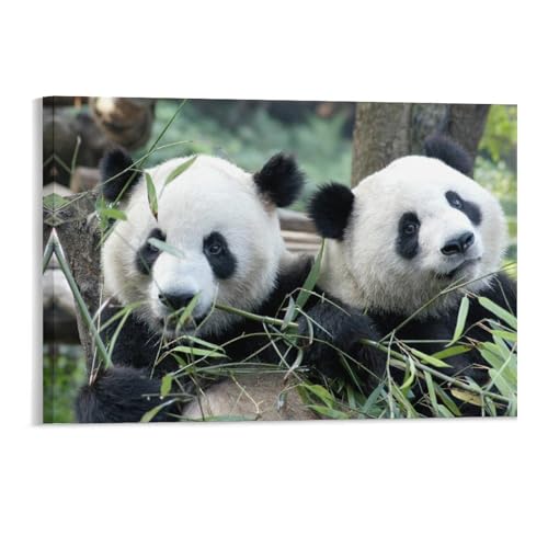 Panda-Bär，Puzzles 1000 Teile für Erwachsene, Klassische Puzzle Jungen Mädchen Puzzle Herausfordernde Und Schwierige Rätsel für Erwachsene Und Jugendliche（50x70cm）-174 von DUDOK