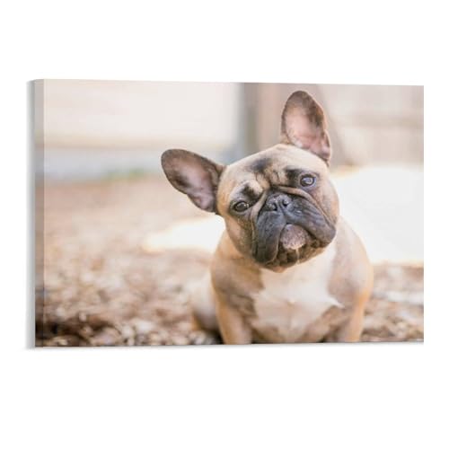 Puzzle 1000 Teile，Eine süße rehbraune Französische Bulldogge，Art Malerei Puzzle 1000 Teile Pädagogisches intellektuelles Dekomprimieren von Spielzeugrätseln Lustige（38x26cm）-168 von DUDOK