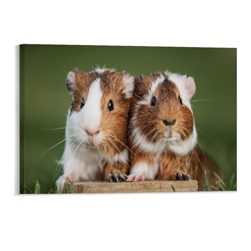 Puzzle 1000 Teile Erwachsenenpuzzle，Zwei hübsche Meerschweinchen，Kind Aus Papier Puzzle Panorama Art DIY Leisure Game Fun Geschenk Spielzeug Geeignete Freunde Familie（38x26cm）-153 von DUDOK