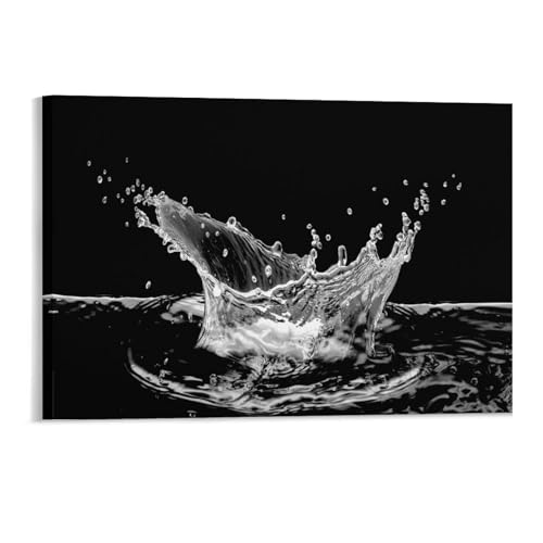 Puzzles für Erwachsene 1000 Teile，Wasserspritzer，Klassische Puzzle Teenager Jungen Mädchen Puzzle für DIY Intellektuelles Lernspiel, Geschenk-Wohnkultur（50x70cm）-157 von DUDOK