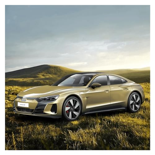28CM 1 18 Für RS E-tron GT Sportwagen Simulation Legierung Druckguss Auto Modell Erwachsenen Sammlung Geschenk Spielzeugauto Druckgussmodelle Motorfahrzeuge(Grau) von DUEVEL