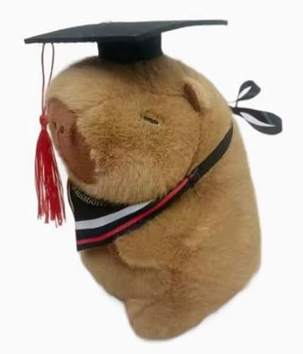 DVSWDMA Bachelor Geschenk, Teddy Plüschbär mit Diplom und Doktorhut, Teddybär Plüschtier, Graduation Gift, Geschenke zum Bachelor Abschluss, Bestandene Prüfung Geschenk von DVSWDMA
