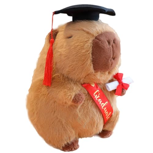 DVSWDMA Teddybär Plüschtier, Teddy Plüschbär mit Diplom und Doktorhut, Graduation Gift, Bachelor Geschenk,Geschenke zum Bachelor Abschluss Capybara von DVSWDMA