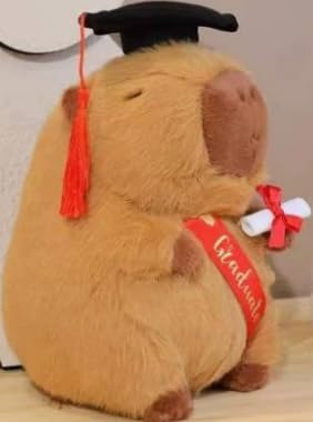 DVSWDMA Teddybär Plüschtier, Teddy Plüschbär mit Diplom und Doktorhut, Graduation Gift, Bachelor Geschenk,Geschenke zum Bachelor Abschluss Capybara von DVSWDMA