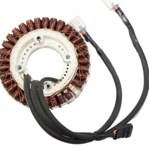 DWOGCEBX D12000i Magneto-Stator Kompatibel mit landwirtschaftliche Drohnenzubehör kompatibel mit Rato und ähnlichem landwirtschaftlichen UAVs von DWOGCEBX