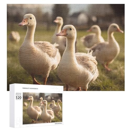 520 Teile Puzzles für Erwachsene Coole Gänse Gehen auf dem Gras Puzzles Große Puzzles Spiel Dekompression Freizeit Unterhaltung Holzpuzzle Entspannung Sensorisches Spielzeug Raumdekor für Frauen 520 Teile Puzzles für Erwachsene Coole Gänse Gehen auf dem Gras Puzzles Große Puzzles Spiel Dekompression Freizeit Unterhaltung Holzpuzzle Entspannung Sensorisches Spielzeug Raumdekor für Frauen von DWVTFSM