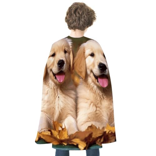DWVTFSM Uni Halloween-Umhang, wendbar, Vampirumhang, leicht, bequem, Halloween-Hexenumhang, Umhang, Golden Retriever, Hunde, Welpen, Haustiere, Cosplay-Kostüme für Damen und Herren DWVTFSM Uni Halloween-Umhang, wendbar, Vampirumhang, leicht, bequem, Halloween-Hexenumhang, Umhang, Golden Retriever, Hunde, Welpen, Haustiere, Cosplay-Kostüme für Damen und Herren von DWVTFSM