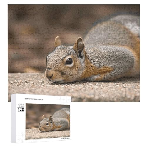 Großes Holzpuzzle Weihnachten Puzzle Puzzles Erwachsene Herausfordernde Puzzles Eichhörnchen Just Laying Printed Jigsaw Puzzles (520 Teile) von DWVTMNS