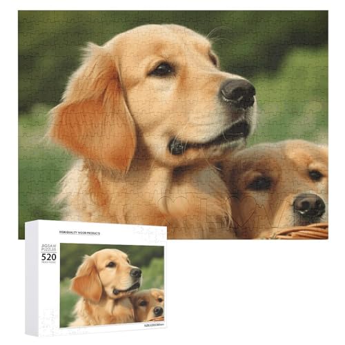 Großes Holzpuzzle Weihnachten Puzzle Puzzles Erwachsene Herausfordernde Puzzles Hund Golden Retriever Bedruckte Puzzles (520 Teile) von DWVTMNS