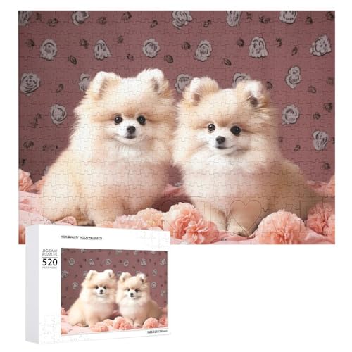 Großes Holzpuzzle Weihnachten Puzzle Puzzles Erwachsene Herausfordernde Puzzles Pomeranians Welpen und Punkt Gedruckt Jigsaw Puzzles (520 Teile) von DWVTMNS