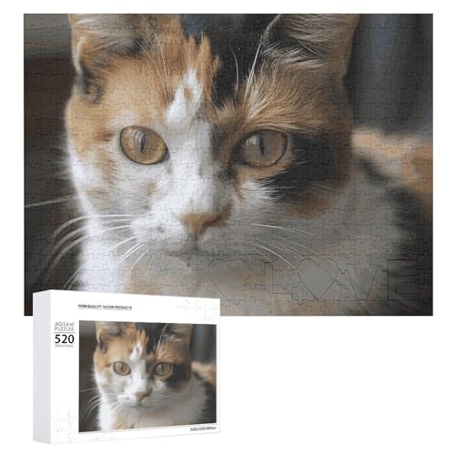 Großes Holzpuzzle Weihnachtspuzzle Puzzles Erwachsene Herausfordernde Puzzles Eine Katze Gedruckte Puzzles (520 Teile) von DWVTMNS