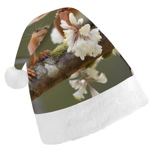 DWVTSLH Weihnachtsmütze, Eichhörnchen, bedruckt, Weihnachtsmannmütze, weicher und bequemer Samt, verdickte Weihnachtsmütze, geeignet für Weihnachten, Neujahr, Urlaub, Partyzubehör DWVTSLH Weihnachtsmütze, Eichhörnchen, bedruckt, Weihnachtsmannmütze, weicher und bequemer Samt, verdickte Weihnachtsmütze, geeignet für Weihnachten, Neujahr, Urlaub, Partyzubehör von DWVTSLH