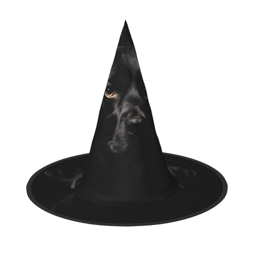 DZBDWZXH Halloween-Hexenhut für Damen, Cosplay-Kostüm, Halloween-Party-Dekoration, 1 Stück DZBDWZXH Halloween-Hexenhut für Damen, Cosplay-Kostüm, Halloween-Party-Dekoration, 1 Stück von DZBDWZXH