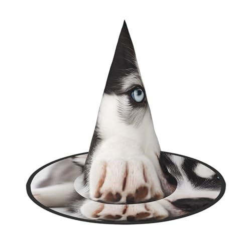 DZBDWZXH Husky-Hunde-Druck, Halloween-Hexenhut für Damen, Cosplay-Kostüm, Halloween-Party-Dekoration, 1 Stück DZBDWZXH Husky-Hunde-Druck, Halloween-Hexenhut für Damen, Cosplay-Kostüm, Halloween-Party-Dekoration, 1 Stück von DZBDWZXH