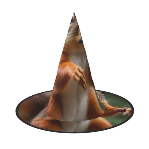 DZBDWZXH Lustiger Eichhörnchen-Druck, Halloween-Hexenhut für Damen, Cosplay, Kostüm, Halloween, Party-Dekoration, 1 Stück DZBDWZXH Lustiger Eichhörnchen-Druck, Halloween-Hexenhut für Damen, Cosplay, Kostüm, Halloween, Party-Dekoration, 1 Stück von DZBDWZXH
