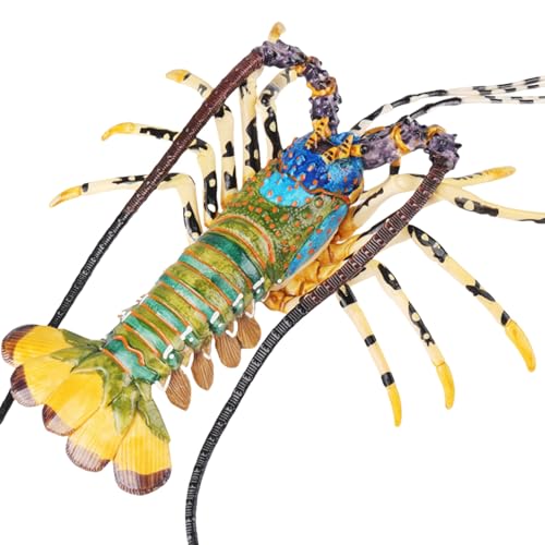 DZHCBNE Realistisches Hummertiermodell Für Wissenschaftsausstellungen Und Klassenzimmer Meeresfrüchte Tiermodell Für Ausstellung Und Sammlung DZHCBNE Realistisches Hummertiermodell Für Wissenschaftsausstellungen Und Klassenzimmer Meeresfrüchte Tiermodell Für Ausstellung Und Sammlung von DZHCBNE