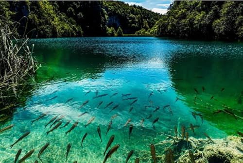 1000-teiliges Puzzle mit Landschaftspostern der Plitvicer Seen für Erwachsene und Familien, Lernspielzeug, Qw124Zp, 70 x 50 cm von DZOEU